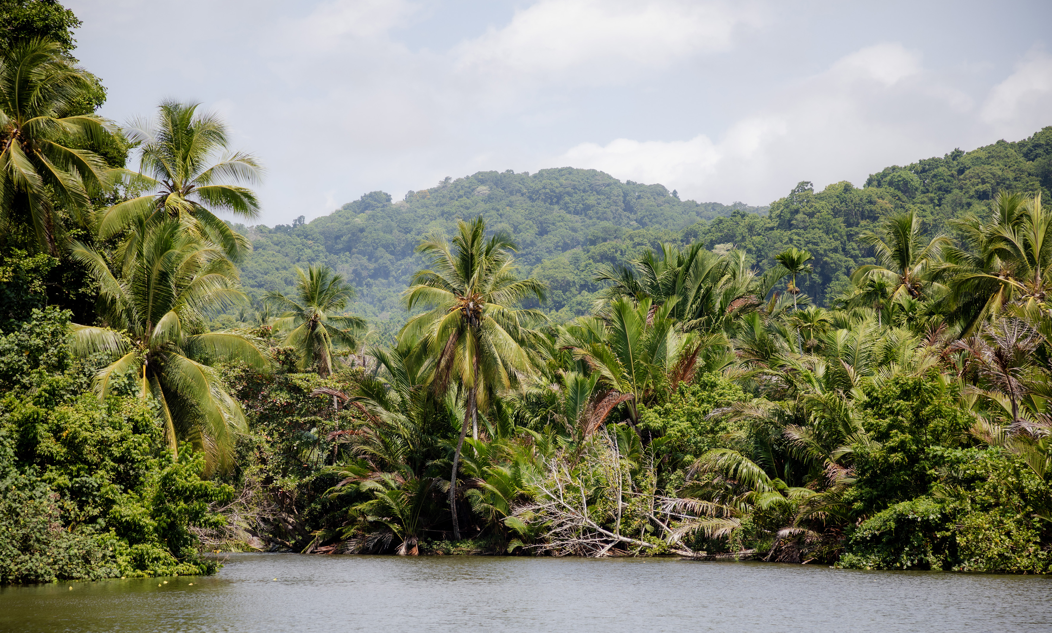 Papua New Guinea Joins Global Vanguard in National Biodiversity Assessment